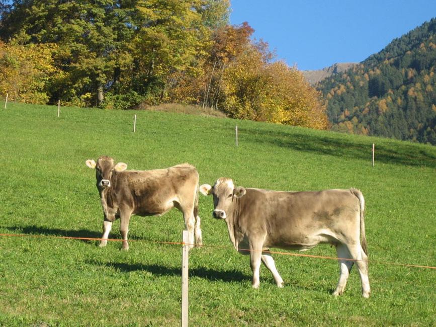 Mantingerhof Villa Funes  Eksteriør billede